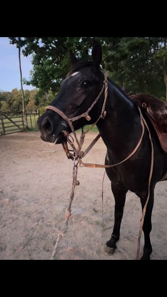 TikTok video thumbnail by marcosortiz821