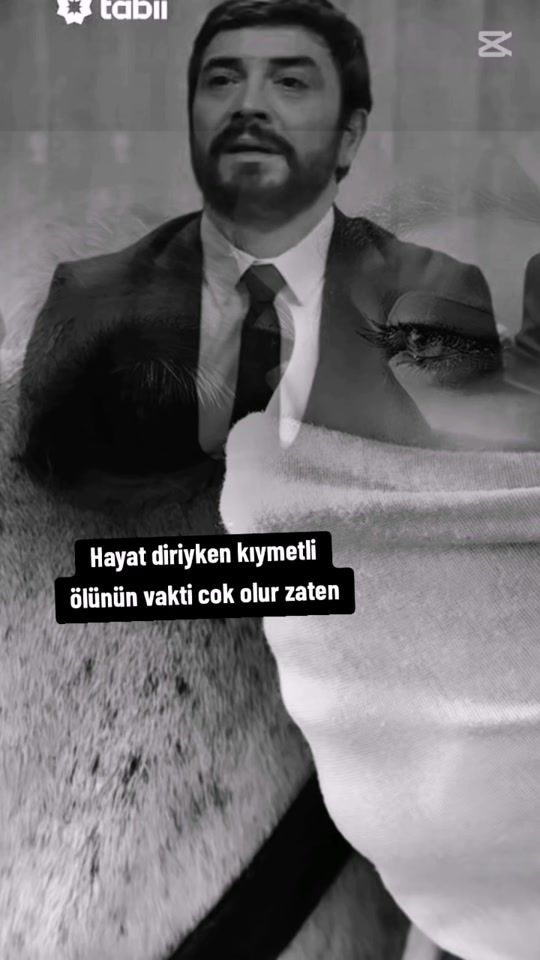 TikTok video thumbnail by zemheri3433
