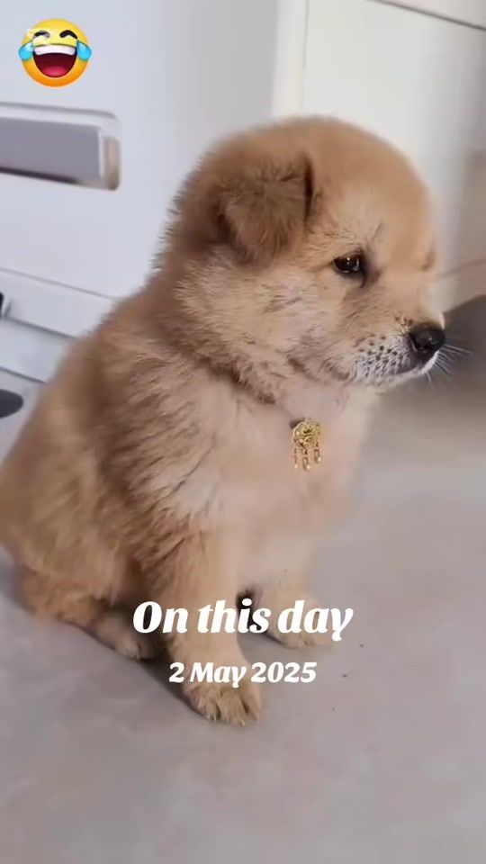 TikTok video thumbnail by jaxon.vili