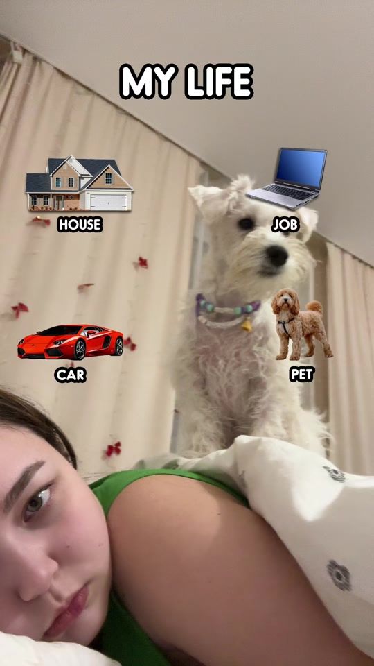 TikTok video thumbnail by dasha.nevashaa