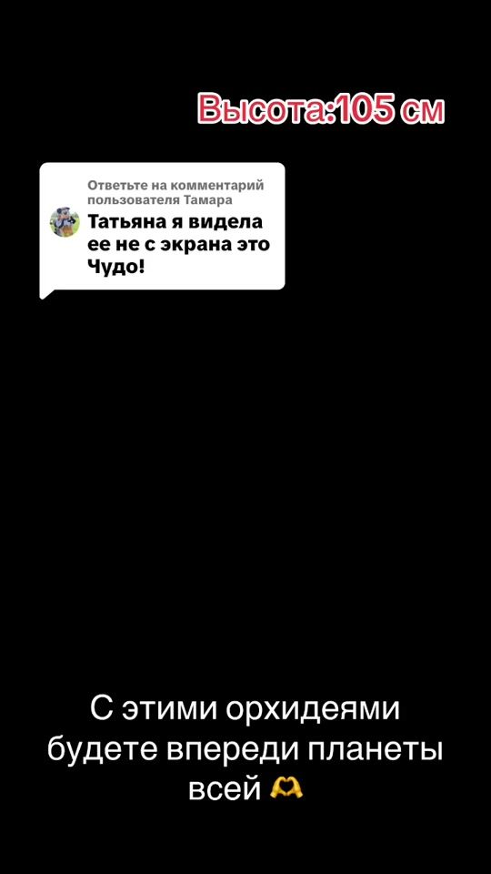 TikTok video thumbnail by tanyastabrand