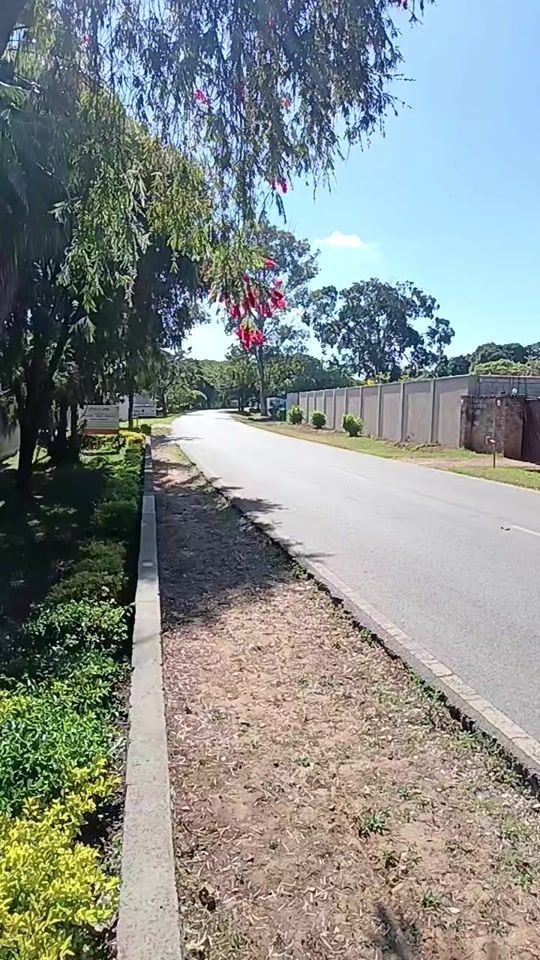 TikTok video thumbnail by michealmwanzbaking