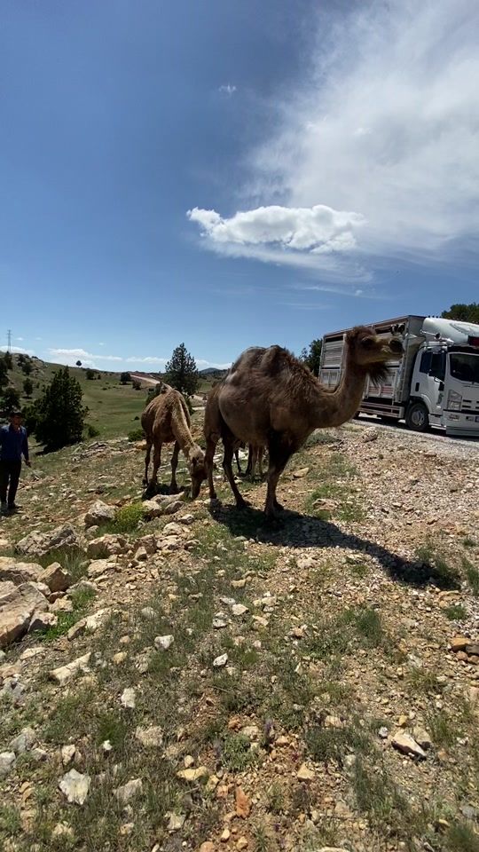 TikTok video thumbnail by sonergok