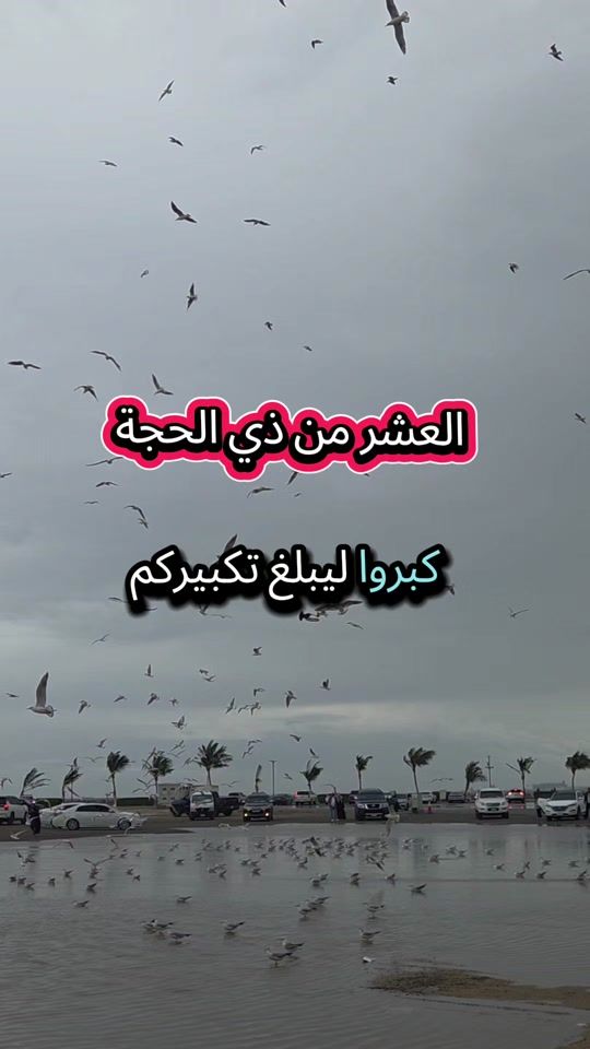 TikTok video thumbnail by ala_kefk