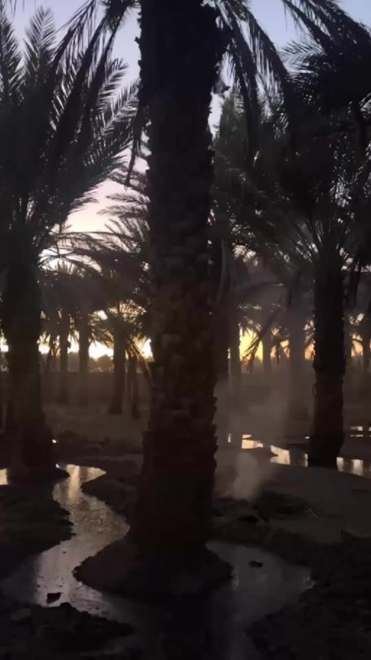 TikTok video thumbnail by pnsif