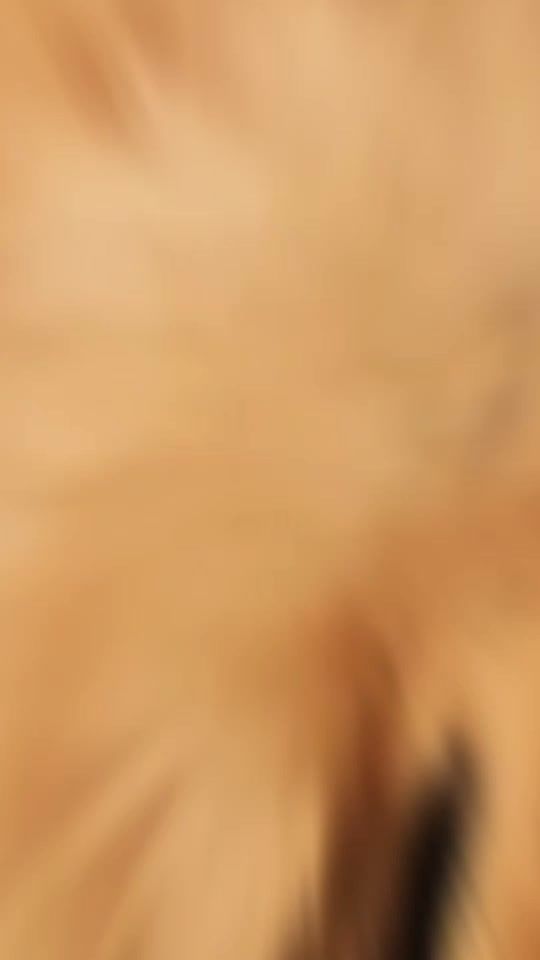 TikTok video thumbnail by jovanruizramirez