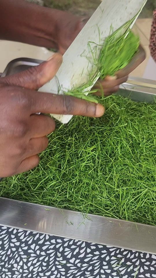 TikTok video thumbnail by chefdjudy