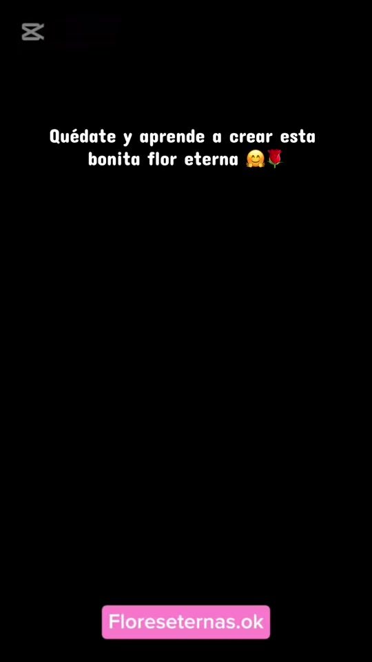 TikTok video thumbnail by floreseternas.ok