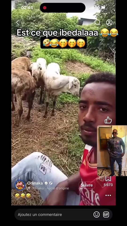 TikTok video thumbnail by boss.building