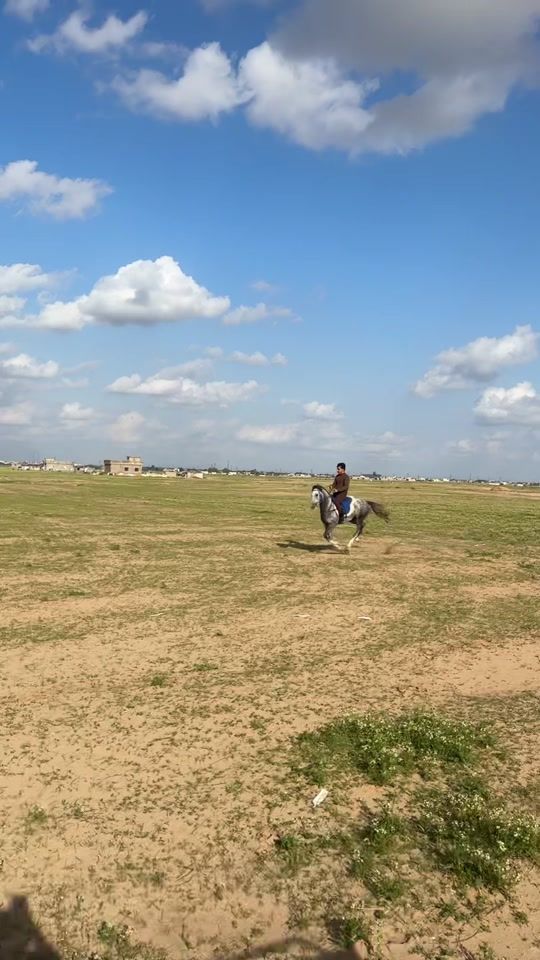 TikTok video thumbnail by 2cq.s