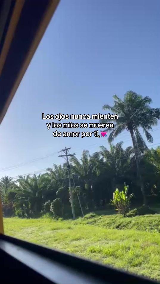TikTok video thumbnail by frases_carlos_