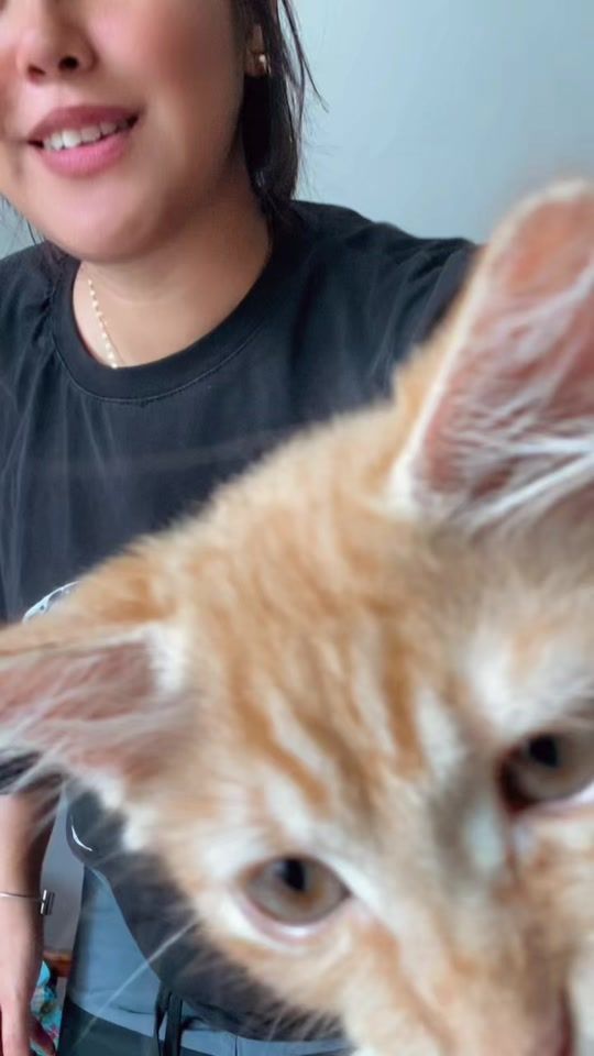 TikTok video thumbnail by hinalei.27