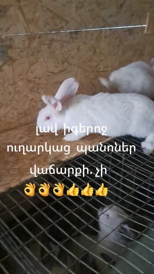 TikTok video thumbnail by armen.ak