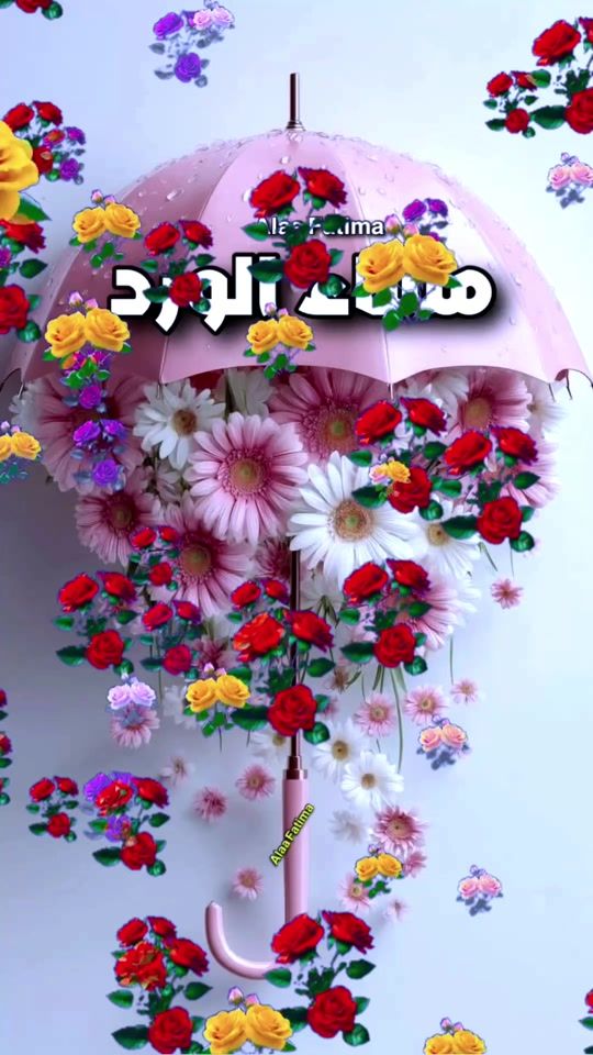 TikTok video thumbnail by alaafd498