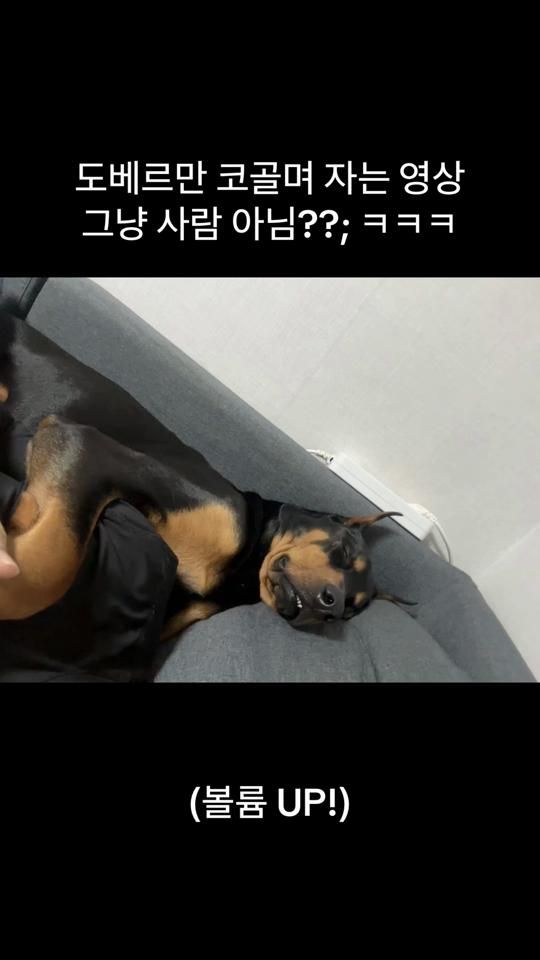 TikTok video thumbnail by sinsa_bell