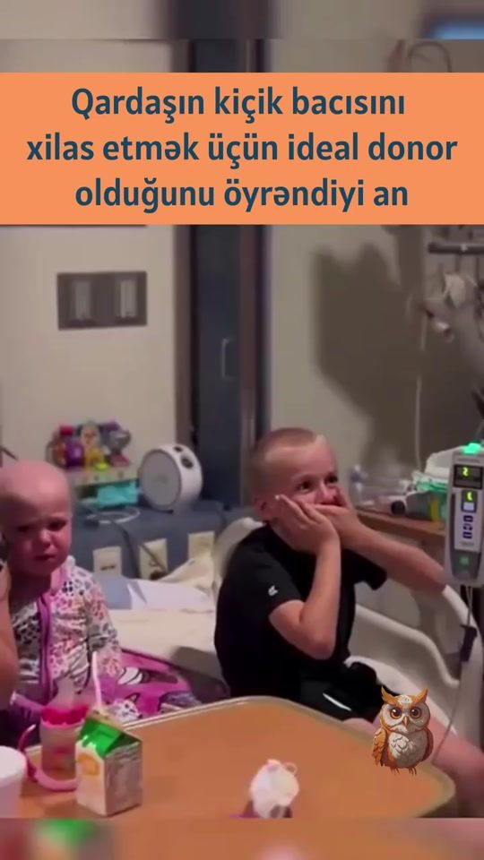 TikTok video thumbnail by laboratoryofarttv