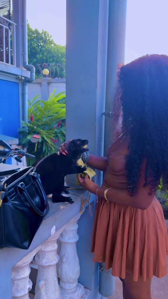 TikTok video thumbnail by sintajames