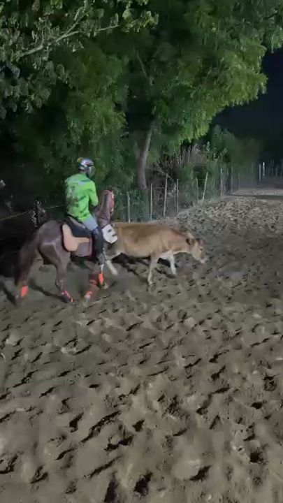 TikTok video thumbnail by linkerleidfit