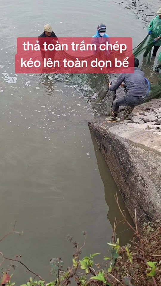 TikTok video thumbnail by thaochoe69