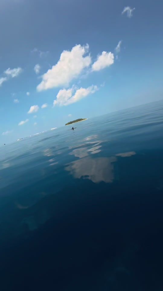 TikTok video thumbnail by theblueplanet7