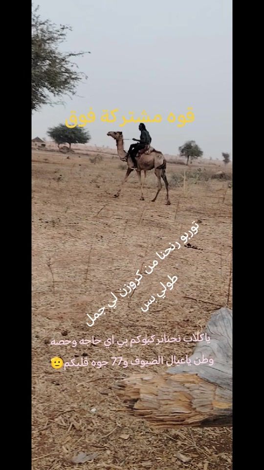 TikTok video thumbnail by .7760410