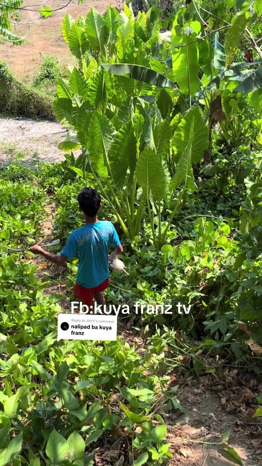 TikTok video thumbnail by kuyafranz07