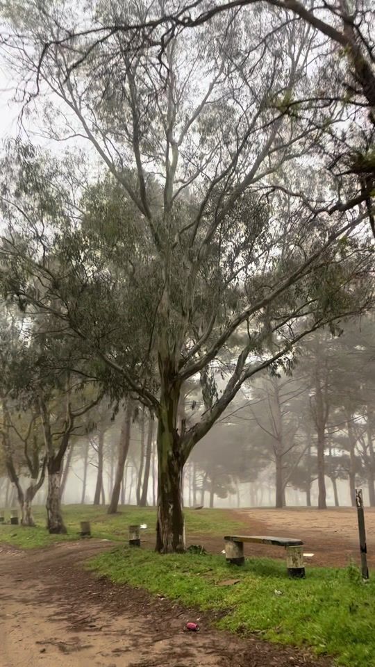 TikTok video thumbnail by boaziza2000
