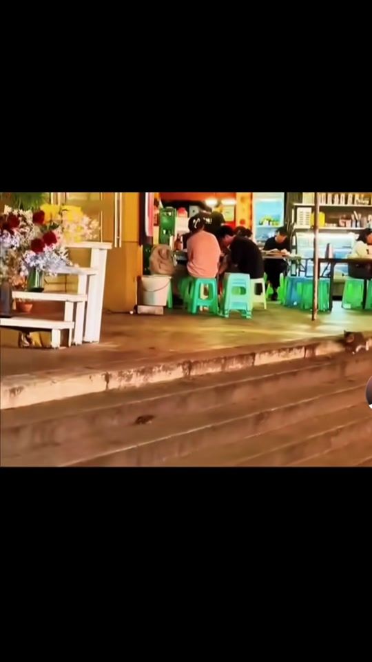 TikTok video thumbnail by immotral6