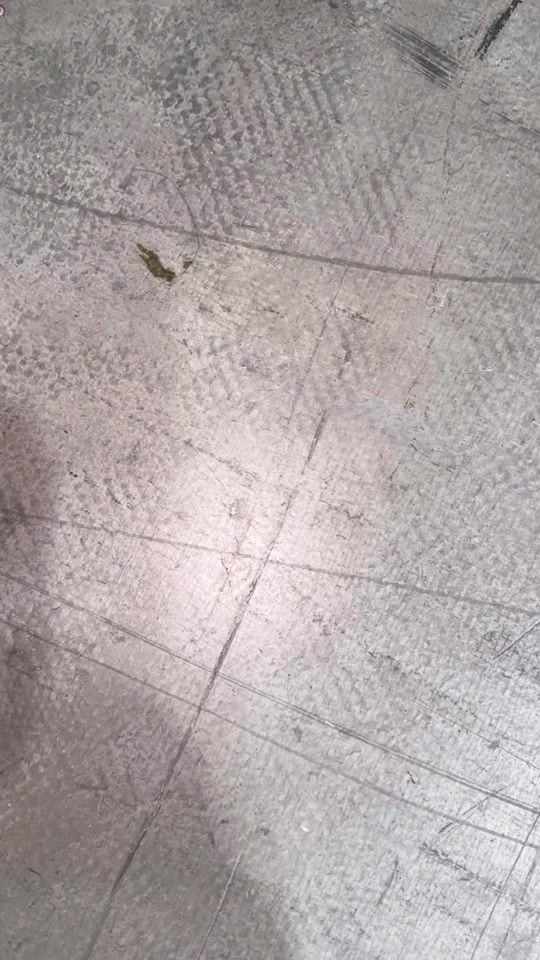 TikTok video thumbnail by polarix_official
