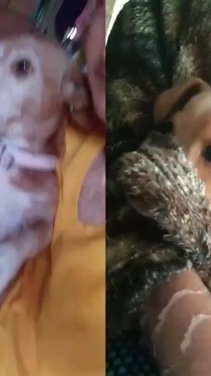 TikTok video thumbnail by daianedutra35