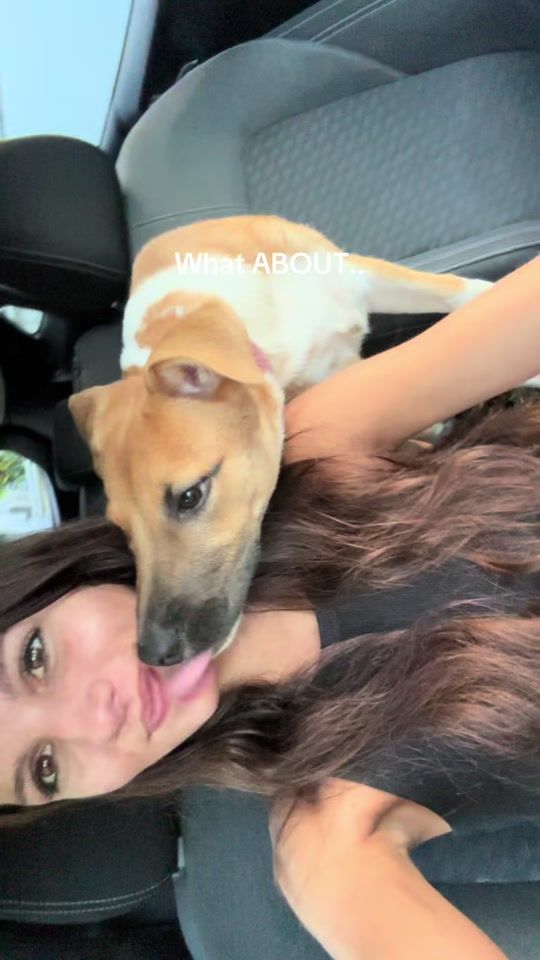 TikTok video thumbnail by alice_gtml4