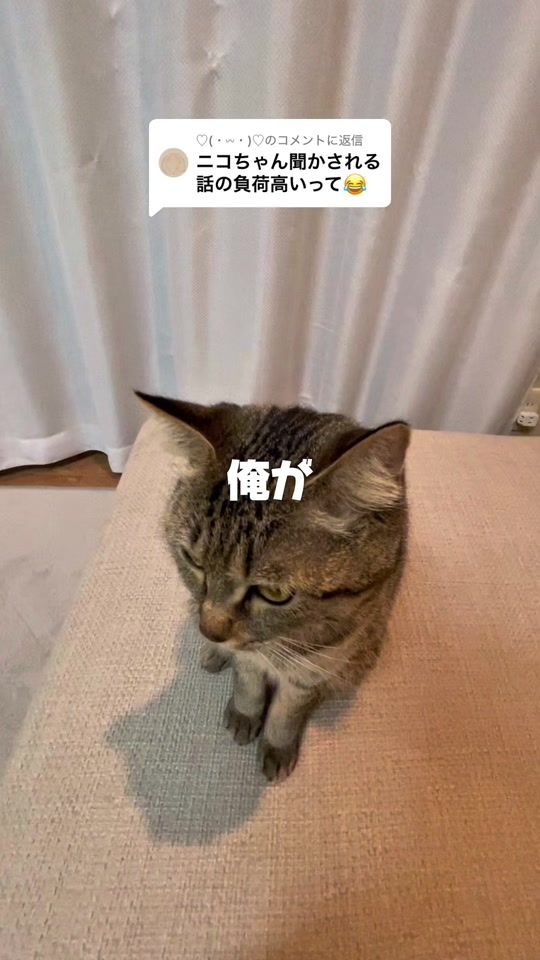 TikTok video thumbnail by nivo2_