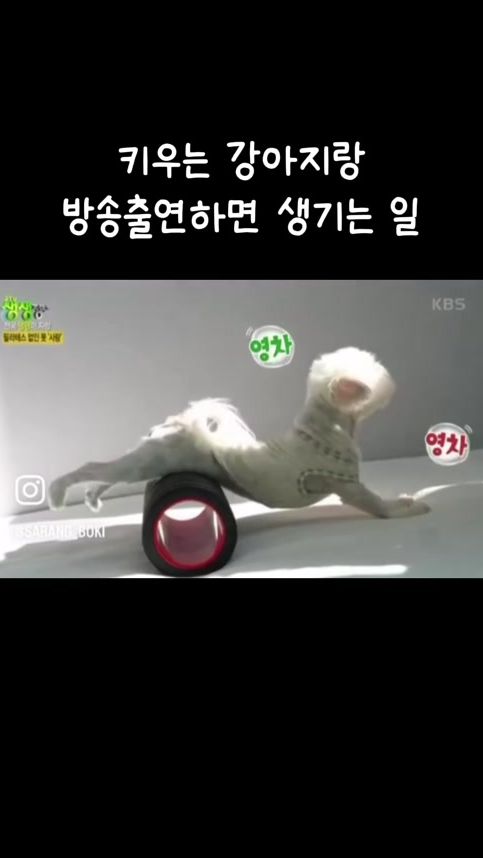 TikTok video thumbnail by sarang_boki