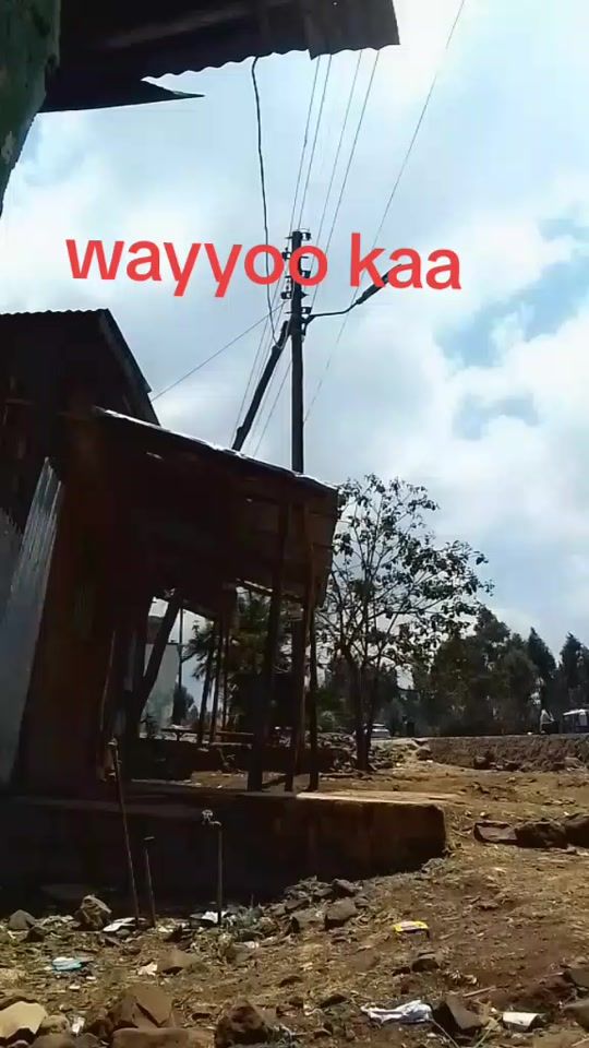 TikTok video thumbnail by mulgeetaa