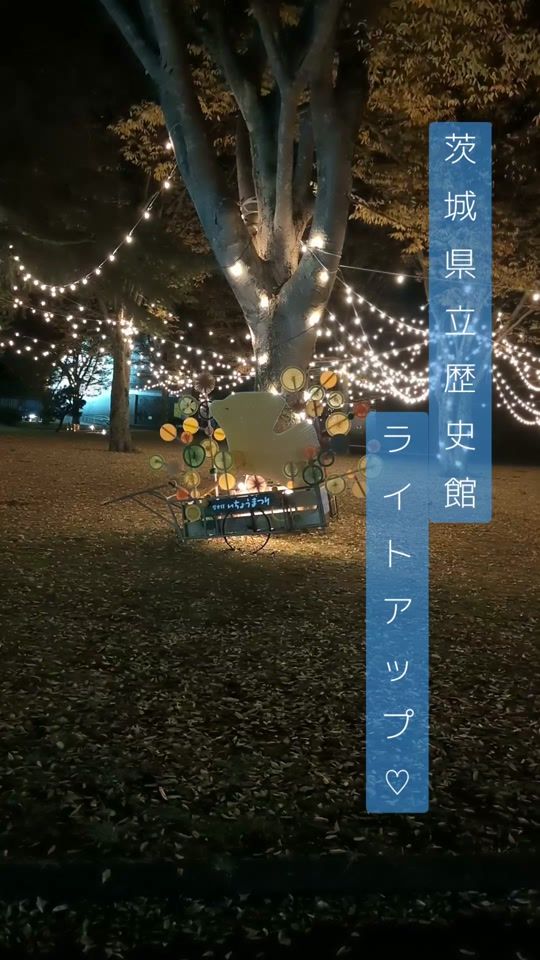 TikTok video thumbnail by 3131taka