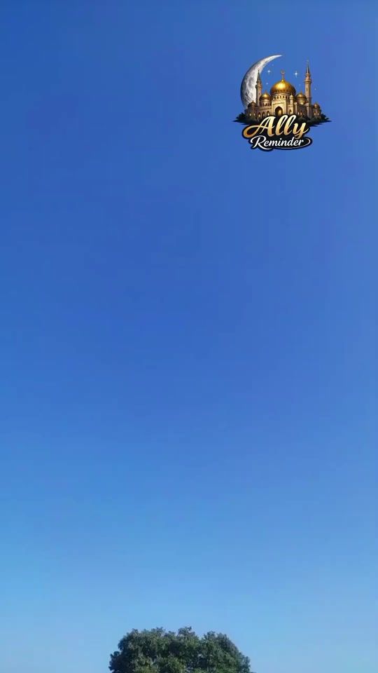 TikTok video thumbnail by ally_reminder
