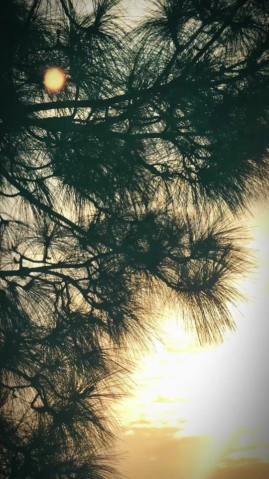 TikTok video thumbnail by ghani_khany