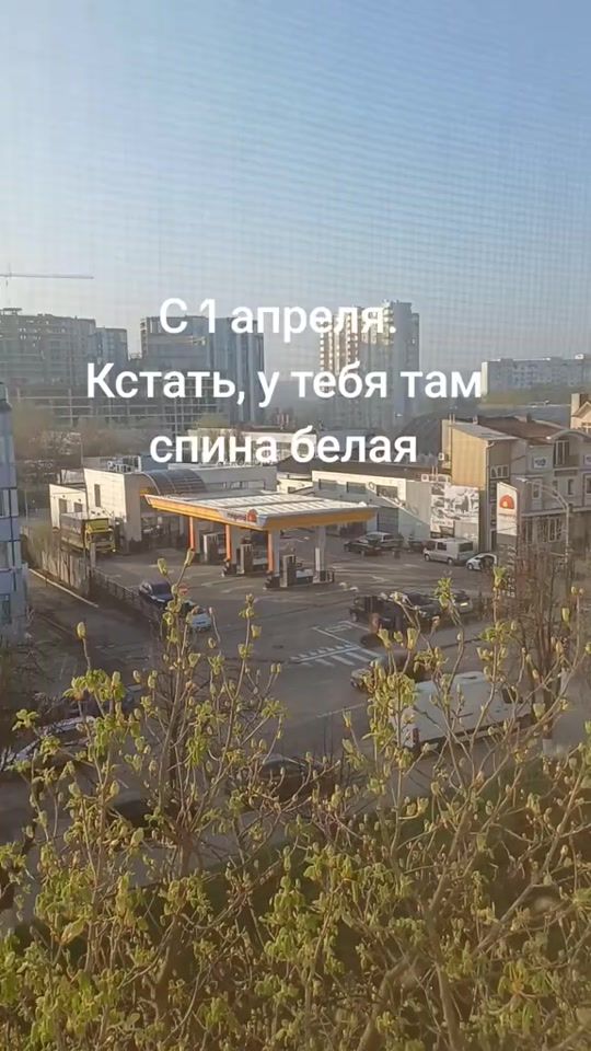 TikTok video thumbnail by dyryw4mj0