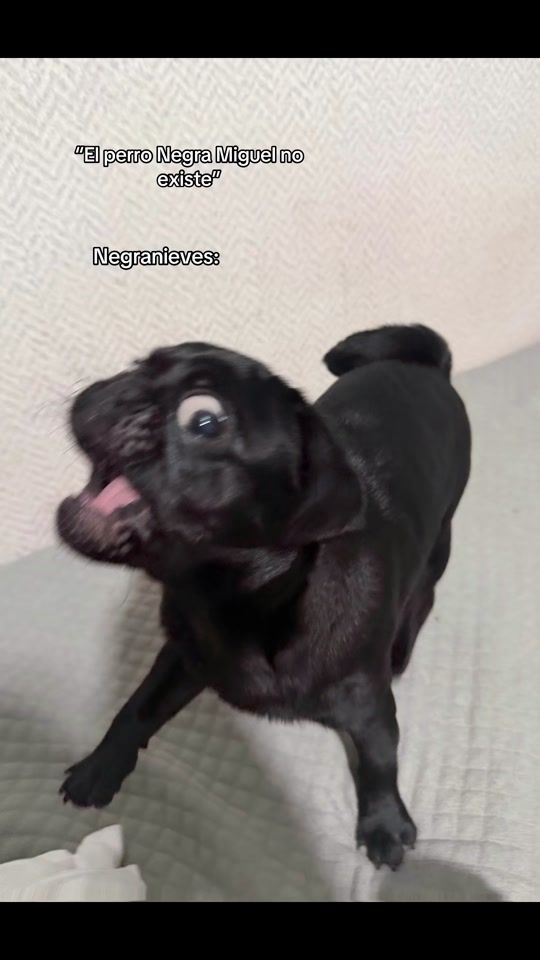 TikTok video thumbnail by cristhianhaze