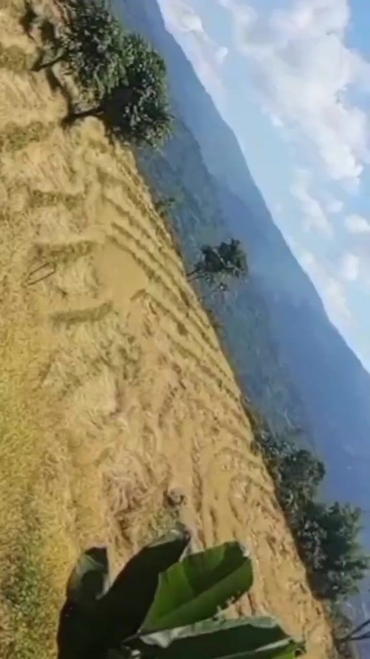 TikTok video thumbnail by samjhanaektenlimb