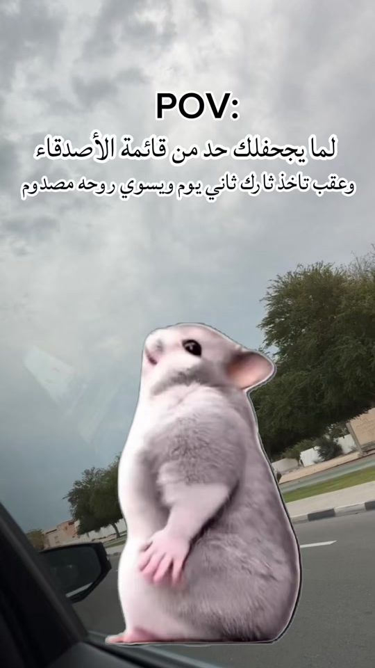 TikTok video thumbnail by qataria_901