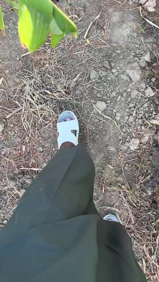 TikTok video thumbnail by com____fir204