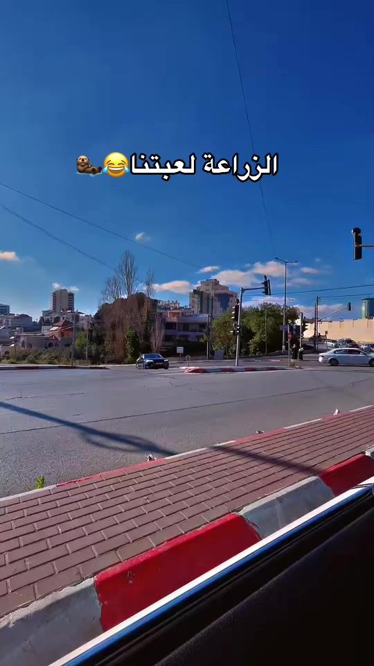 TikTok video thumbnail by khitam.k9