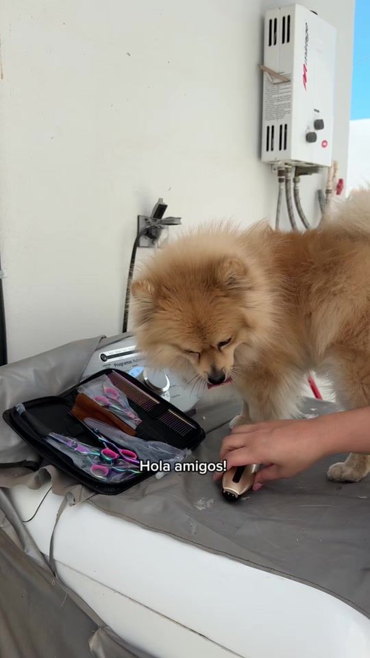 TikTok video thumbnail by marian_.lopez