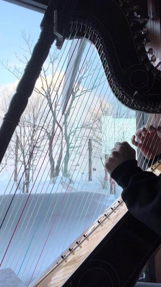 TikTok video thumbnail by iaraharpist