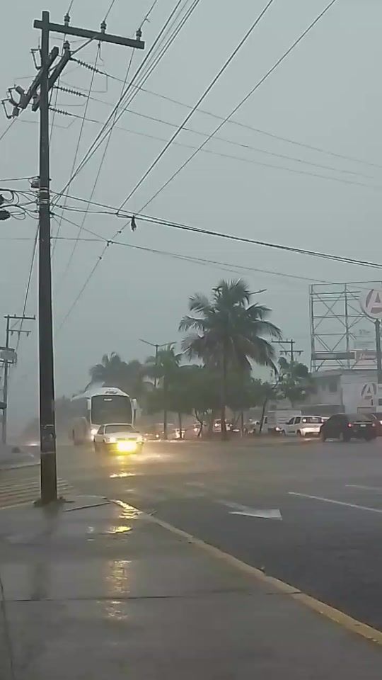 TikTok video thumbnail by vidal_bus_vr