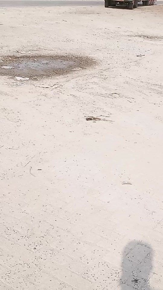 TikTok video thumbnail by user469423582