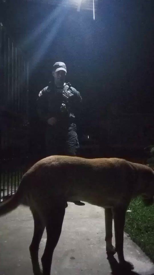 TikTok video thumbnail by edgarsamudio196
