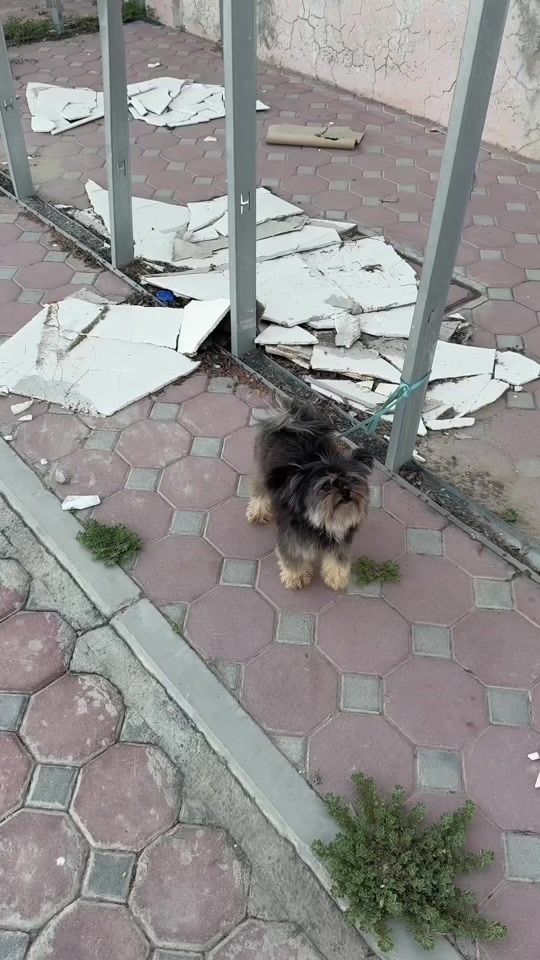 TikTok video thumbnail by mohammed..moussalli