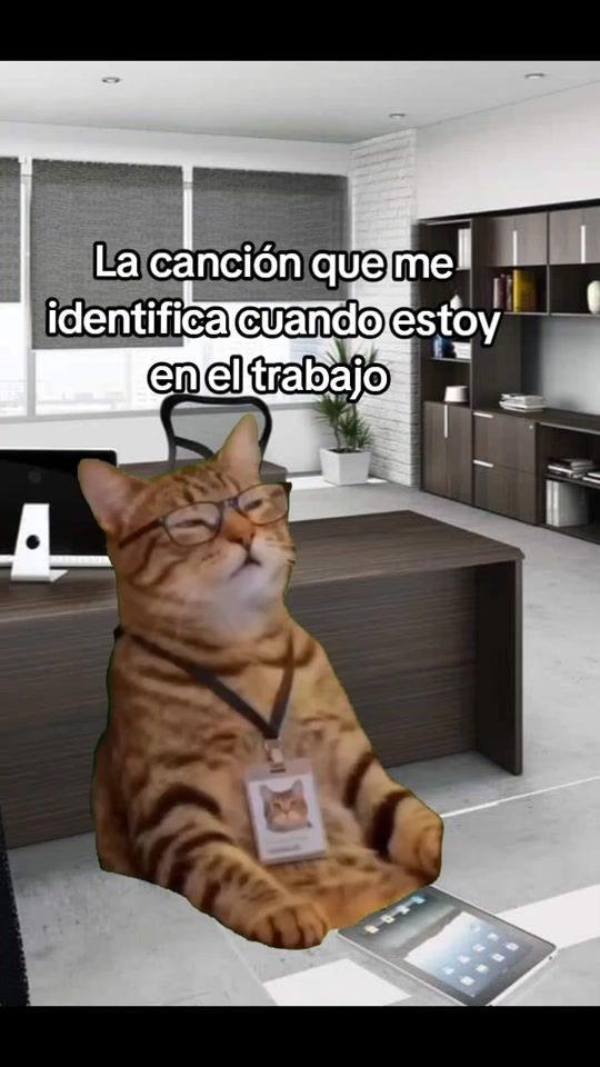 TikTok video thumbnail by humor_y_frases1